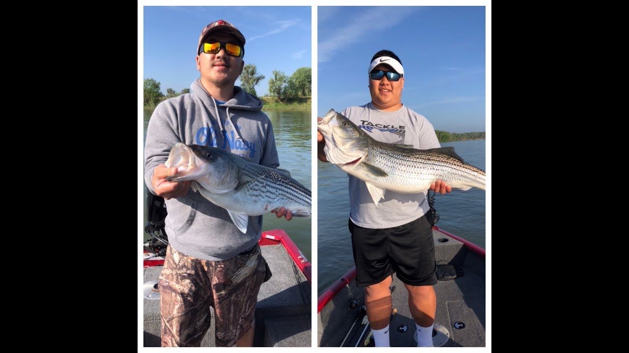 Striper Fishing Feather River (Boyd Pump) SMACK SMACK!!! Spring Run... YouTube