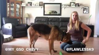 Teach your dog a get it or pick up command
