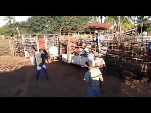 TREINO CIA WA camera iphone 8 plus apk