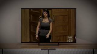 What a 'The People's Court' episode tells us about the Michelle Parker case