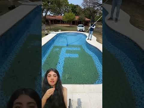 Cómo funcionan los