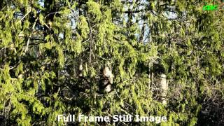 A7Sm2 Full Frame Vs Super 35Mm - 2016