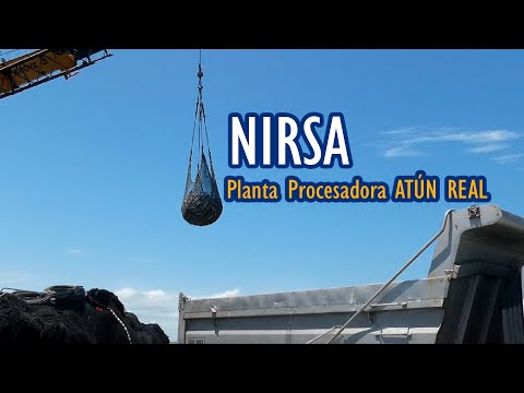 VISITA A LA PLANTA DE NIRSA | POSORJA | ATÚN REAL | DÍA MUNDIAL DEL ATÚN