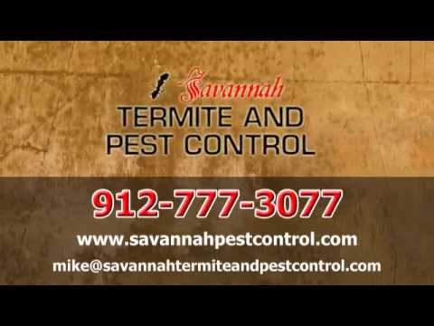 our-commercial-pest-control-|-savannah,-ga---savannah-termite-and-pest-control