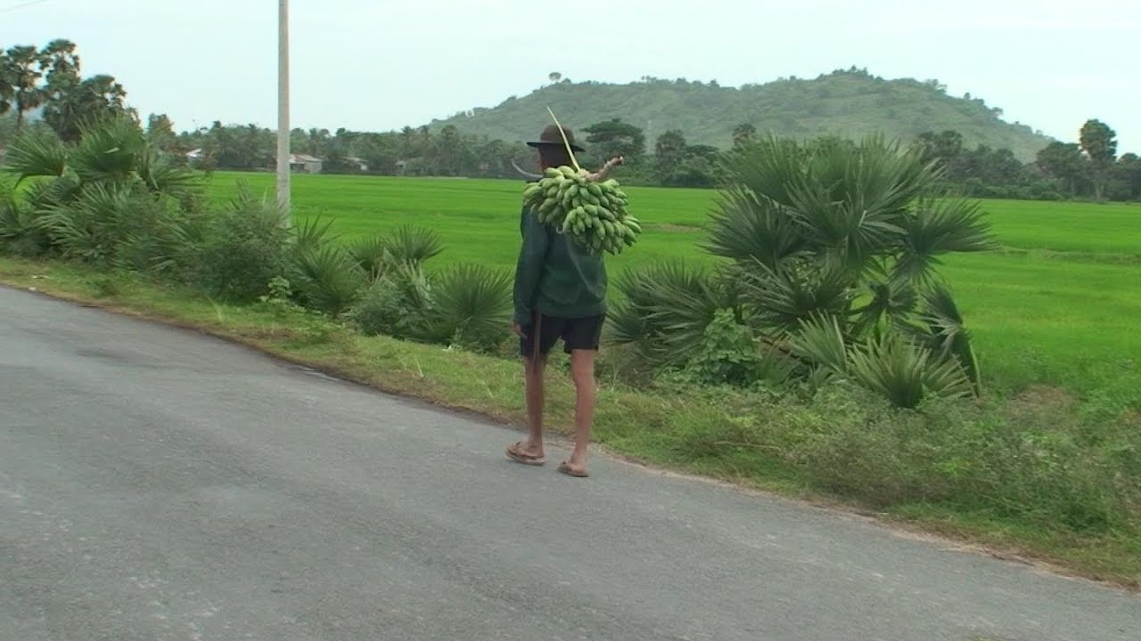 Phong Cảnh Thiên Nhiên Vùng Bảy Núi - An Giang - YouTube