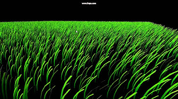 Real Time Grass Simulation Prototype 4