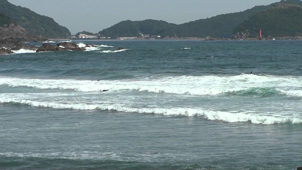 高知県の空いてるサーフポイントで最高なサーフィンをしたいなら