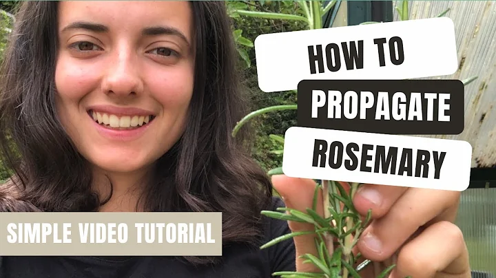 Rosemary Propagating Tutorial - Quick & Easy!