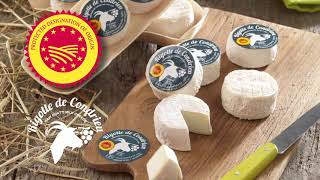 Guilloteau Dairy - Fromager Daffinois, Pavé Daffinois Rigotte De Condrieu