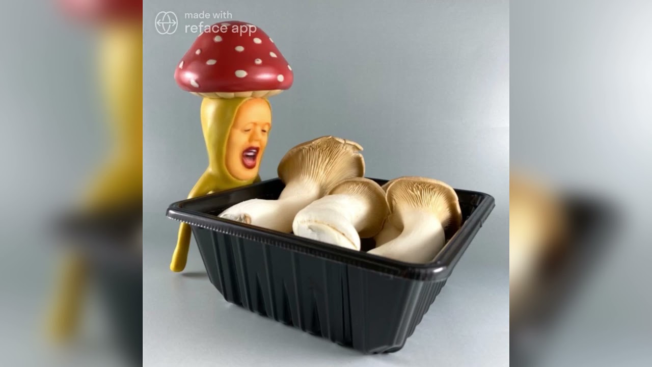 【こびとづかん】