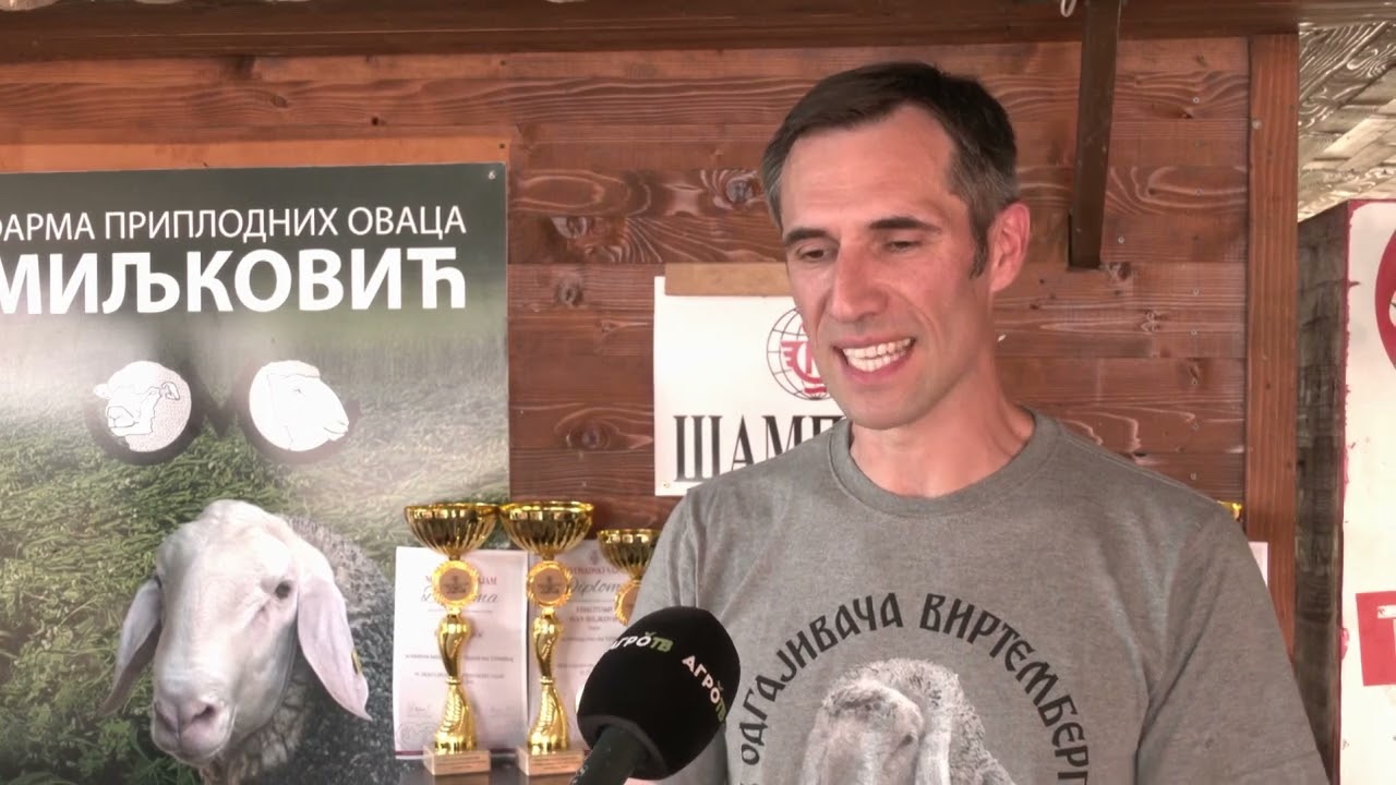 farma ovaca -MILJKOVIC-  (sa novosadskog sajma 2024. u prilogu AGRO POPODNE)