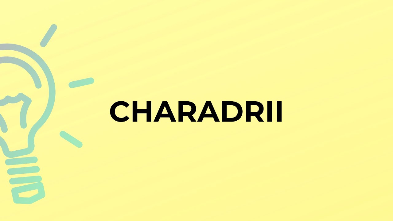 What is the meaning of the word CHARADRII?