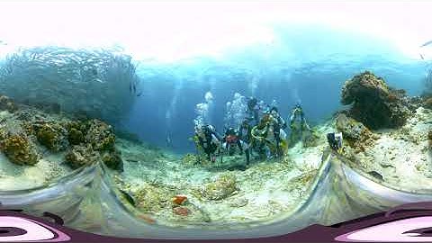 Sipadan diving Jack Fish storm with Insta360 One X in Dive case