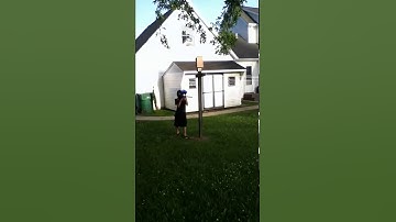 planet eclipse sl8r psp 12.3