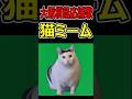 【甲子園】大阪桐蔭応援歌　猫ミーム(Dubidubidu)チピチピチャパチャパ