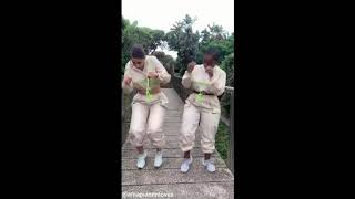 Emcimbini (dance visual) - kabza de small ft. dj maphorisa