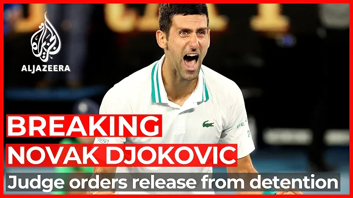 Judge reinstates Djokovic’s visa, orders release from detention - DayDayNews