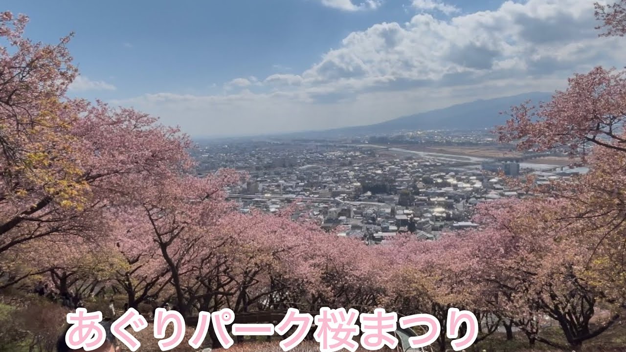 2026/2/22   第19回あぐりパーク桜まつりに行って来ました。