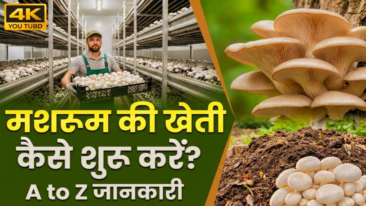 🍄 मशरूम की खेती | 100% सच | लागत, मुनाफा, ट्रेनिंग, गलती सब कुछ | Mushroom Farming #farming #facts 