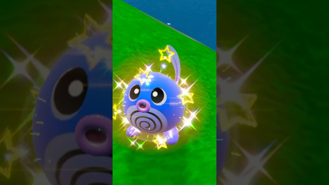 Snagged a shiny Poliwag in Kitikami in Pokemon Scarlet and Violet! 