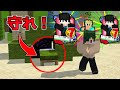 ねがはパチンカスへと進化した😢 パラソルが呪術の力でベッドウォーズ【マイクラ】【マインクラフト】
