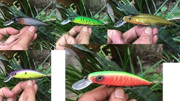 Bear King Baysquad mồi câu gành, cá Nhồng, cá vược số 1