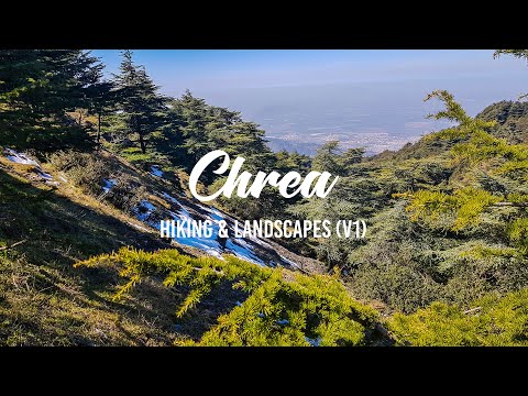 Chrea - Landscapes (v1) - Algeria | الحديقة الوطنية الشريعة - البليدة