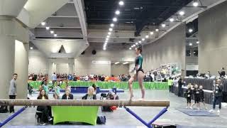 Level 8 Beam 9.7 SCEGA Cal Classic 2019