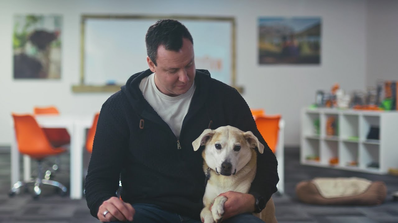 How an Amazon FBA Seller Turned a Side Hustle Into a Successful Business (Warning: Cute Dogs)
