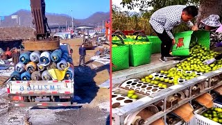 Satisfying Videos of Workers That Work Extremely Well, I Can't Stop Watching It ! #7