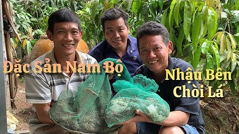 Đặc Sản Miền Nam Bộ Nhái Um Lá Cách Nước Cốt Dừa | Cù Lao Dung Vlogs #396