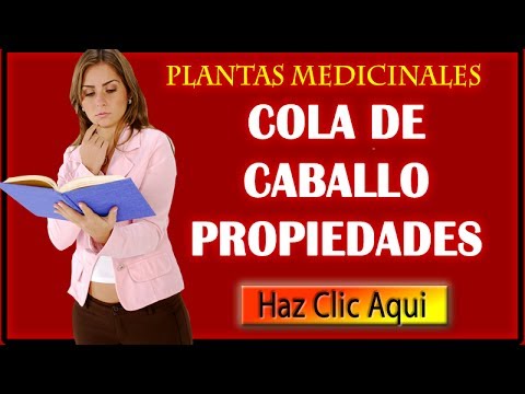 Cola de caballo Propiedades Curativas y Medicinales - Para que sirve la cola de Caballo - 동영상