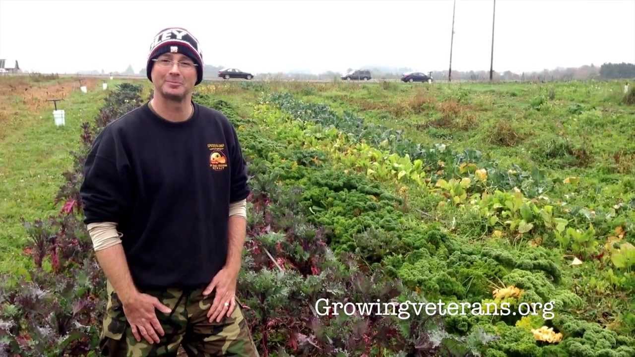 Growing Veterans Vol. 4 Kale