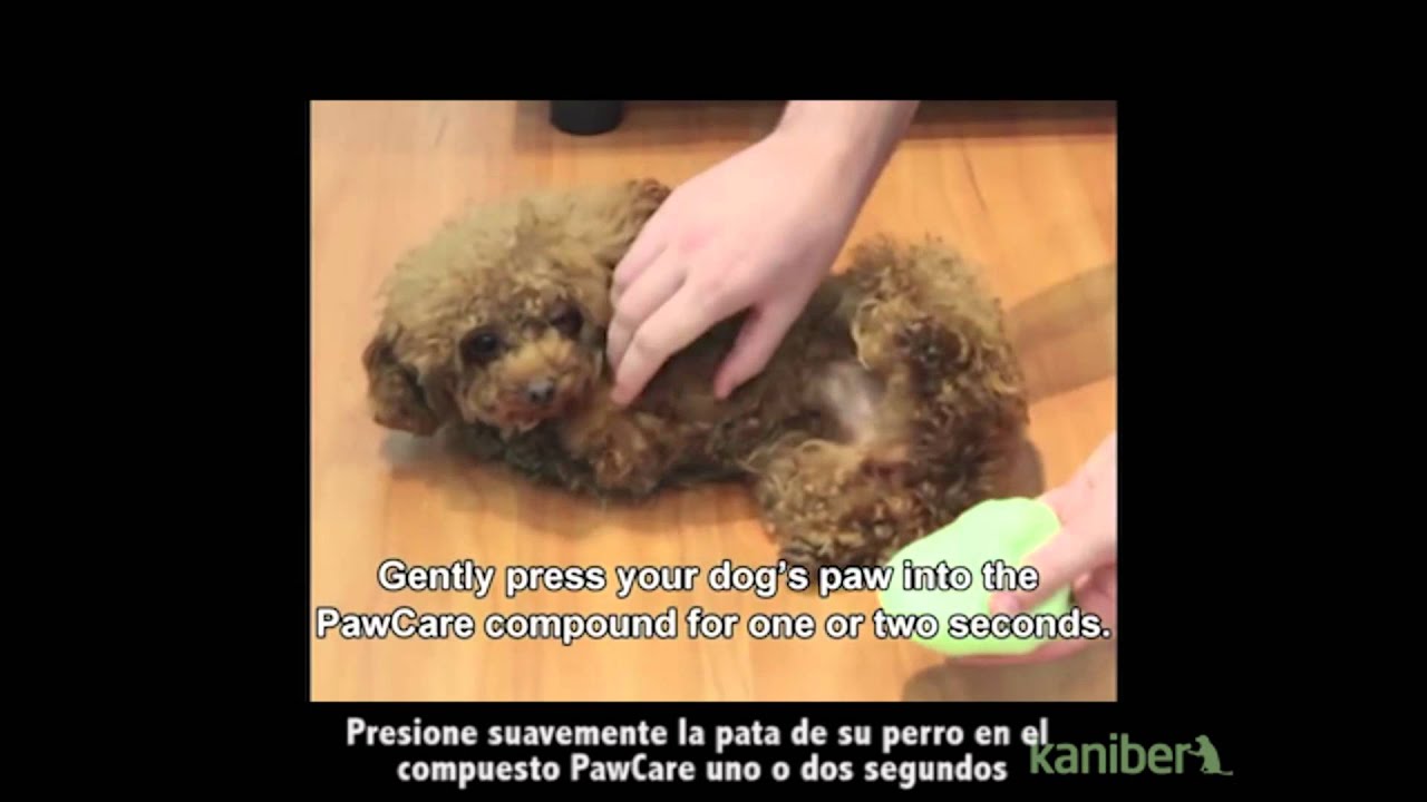 Paw Care www.kaniber.com