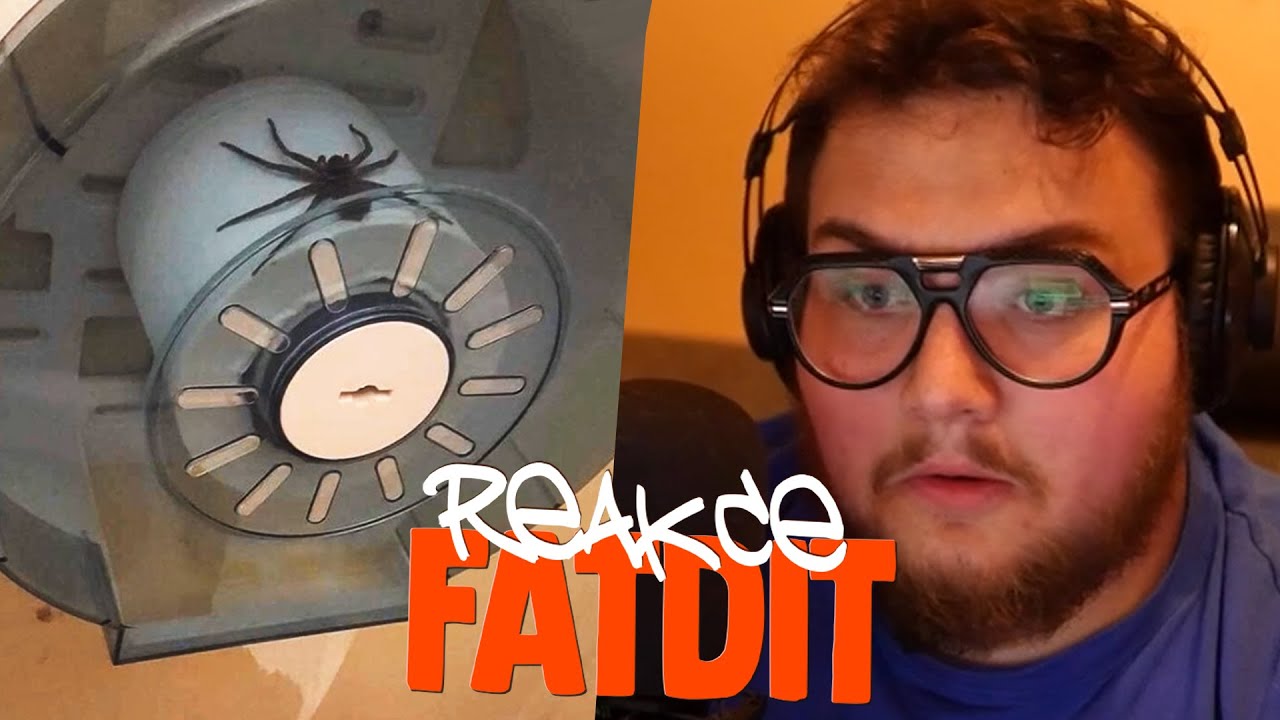 TOHLE NECHCEŠ VIDĚT