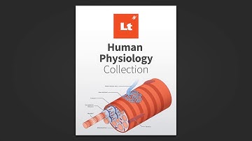 Lt - Online Learning Platform | Human Physiology Collection