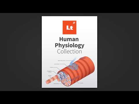 Lt - Online Learning Platform | Human Physiology Collection