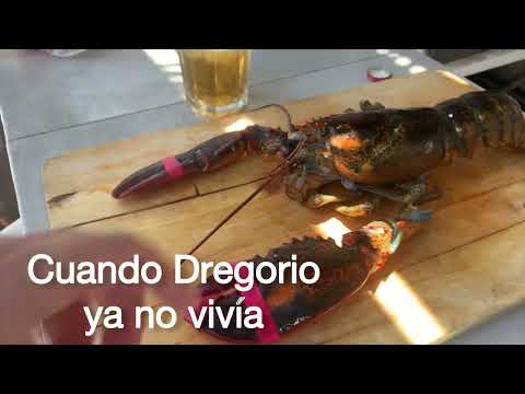 Dregorio el bogavante!! La Isla