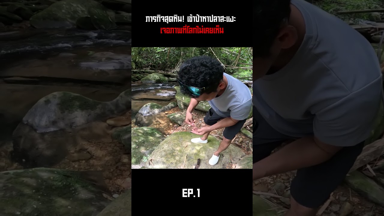 ภารกิจสุดหิน! เข้าป่าหาปลาสะแงะ เจอภาพที่โลกไม่เคยเห็น