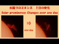 太陽プロミネンスの1日の変化 Solar prominence: Changes over one day 2025/12/11-12