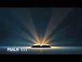 Psalm 111 — Great Are the Works of the Lord | Peaceful Scripture Reading