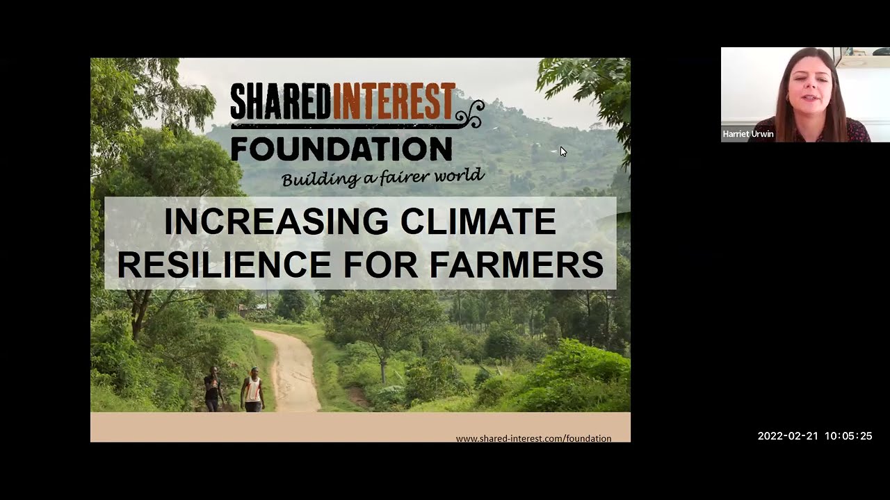 The Shared Interest Foundation: Our Climate Smart Agricultural Projects