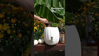 Caribbean Pumpkin Punch for Thanksgiving or Halloween