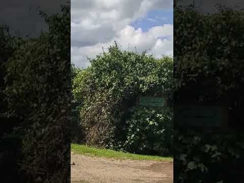 Serranía del Majuy desde la vía a Tenjo - Cundinamarca