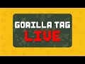 Gorilla Tag's New Custom Maps Update Live!