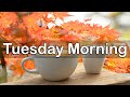 Tuesday Morning Jazz - Autumn Jazz &amp; Bossa Nova Music for Coffee Break