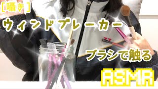 【音フェチ/ASMR】ウィンドブレーカーをブラシで触る[囁き]