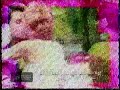 Viva TV on IBC 13: Por un Beso plug [2002]