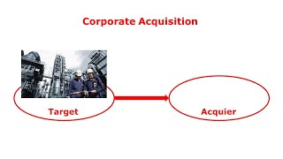 Celebrity Resource Redeployment in Corporate Acquisitions Net Worth