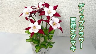 ゆま アメリカンフラワー mqdefault.jpg